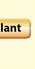 Pilot Plant