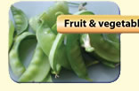 Fruit & Vegetable Waste