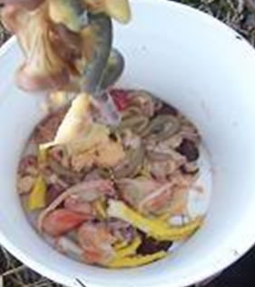 Chicken processing offal