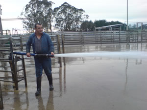 Dairy shed and animal waste 