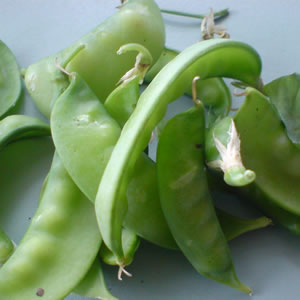 Fruit and Vegetables, market and processing waste
