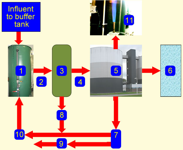 Process Schemeatic